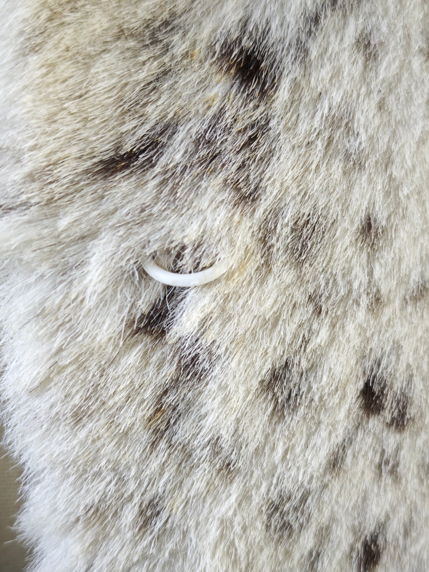 Cow print pony hair coat - M