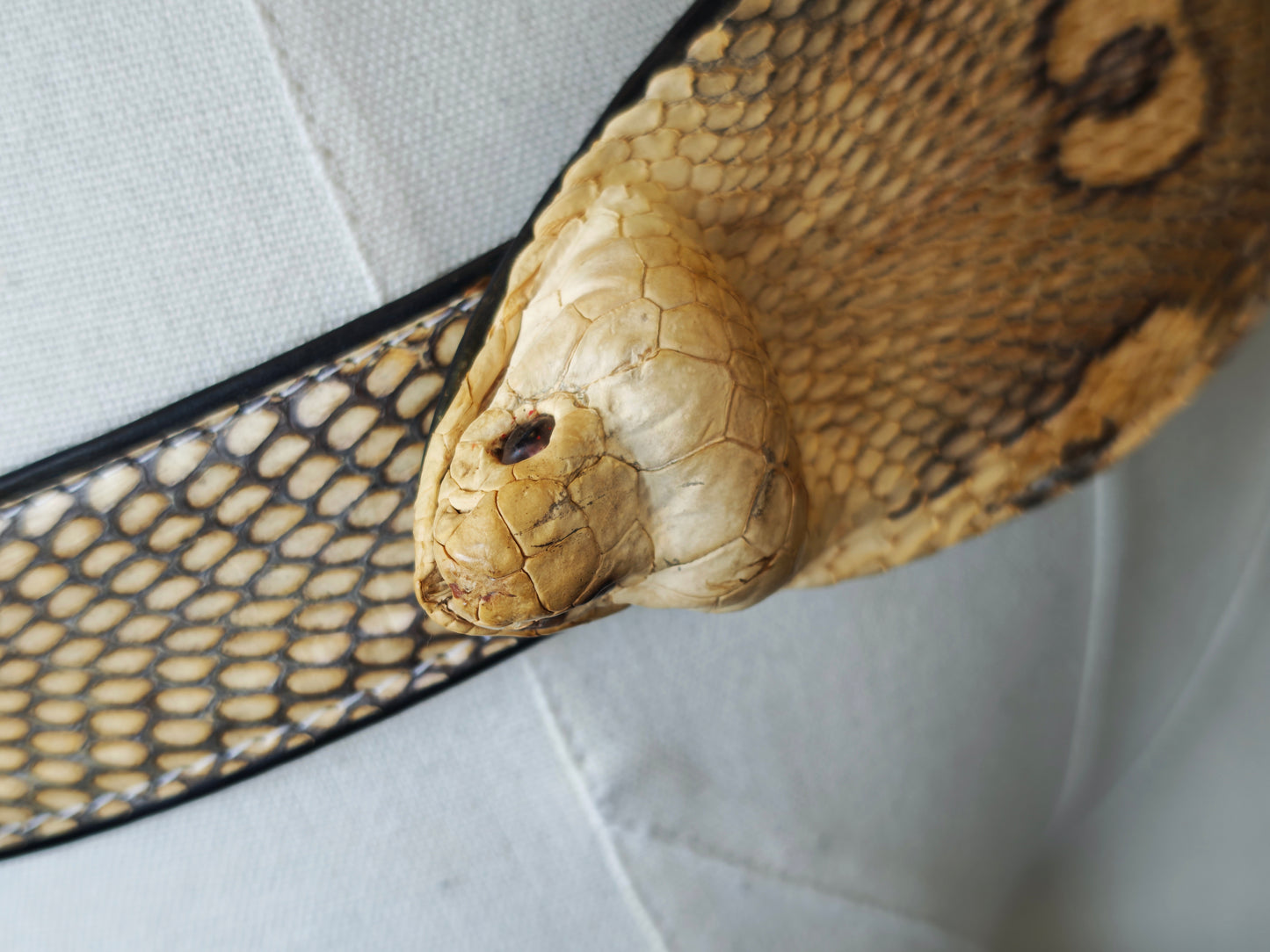 Real cobra belt - 95 cm