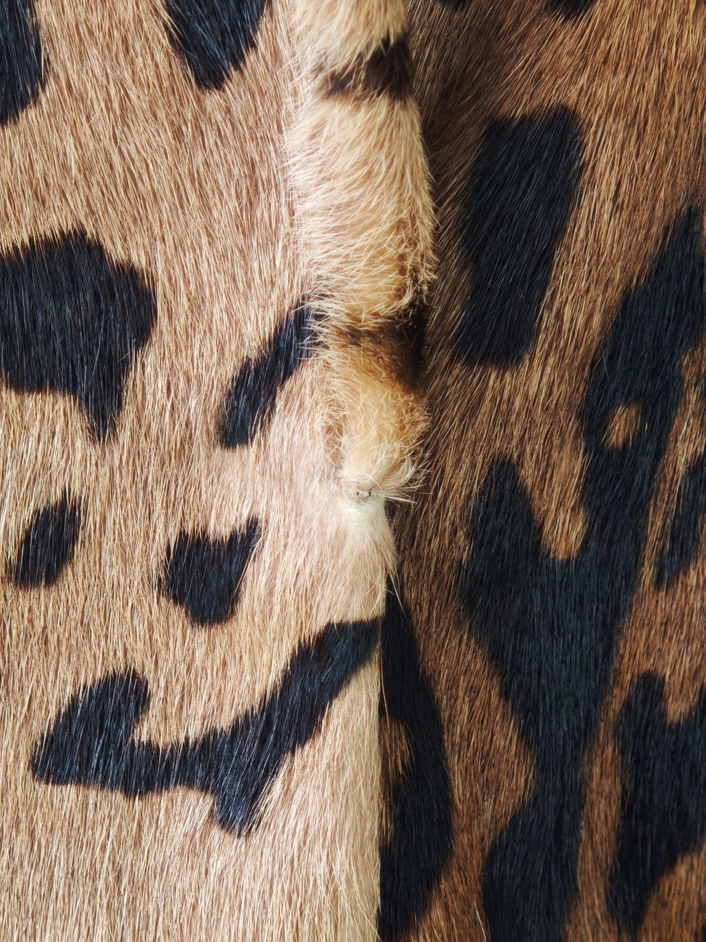 Hair on leopard coat