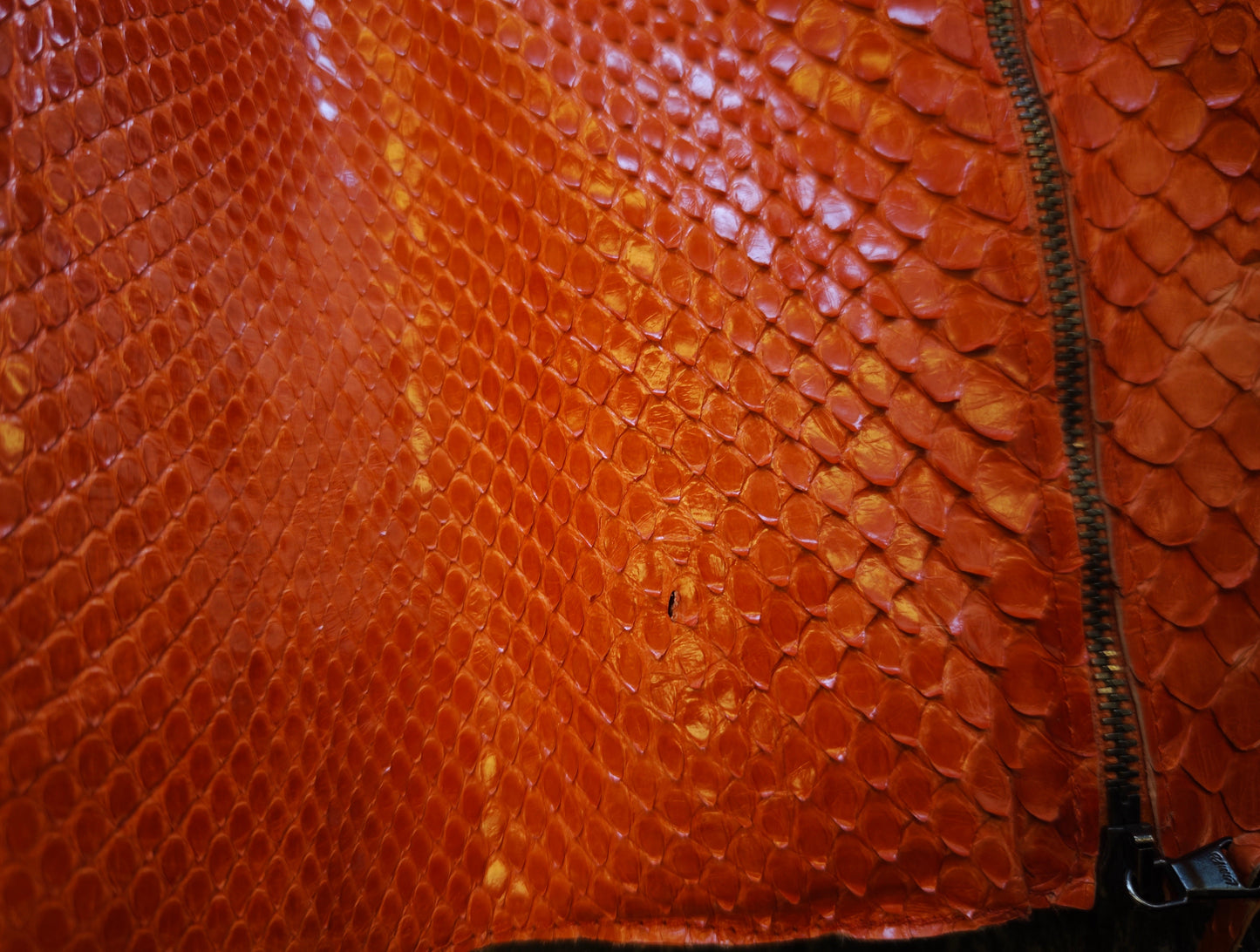 Genuine python leather jacket