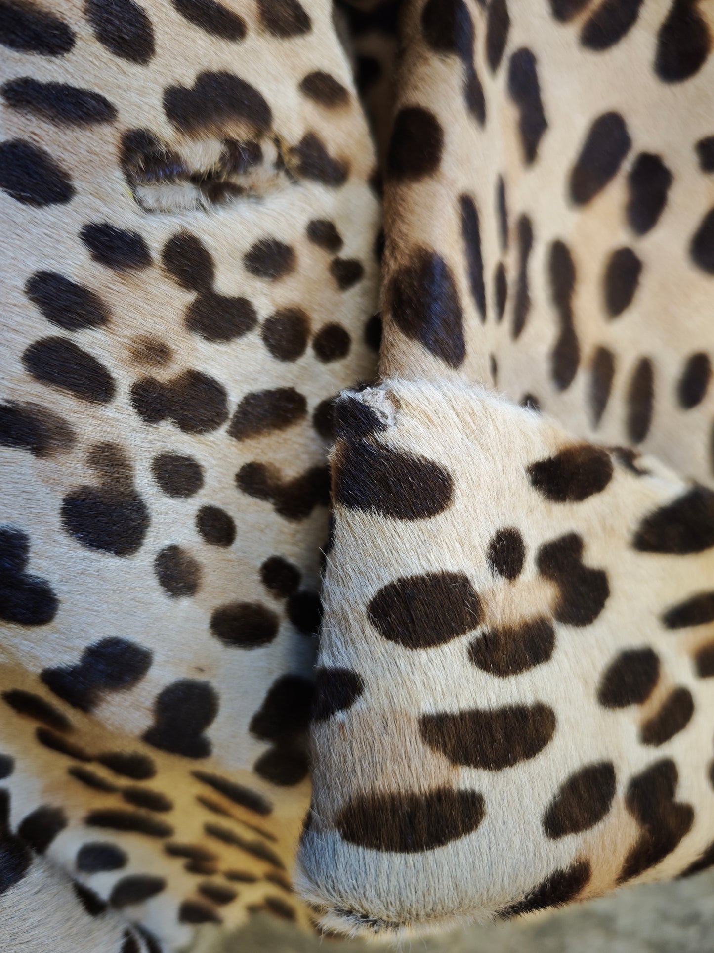 Leopard pony hair jacket