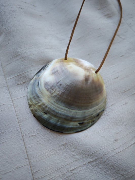 Mermaid shell necklace
