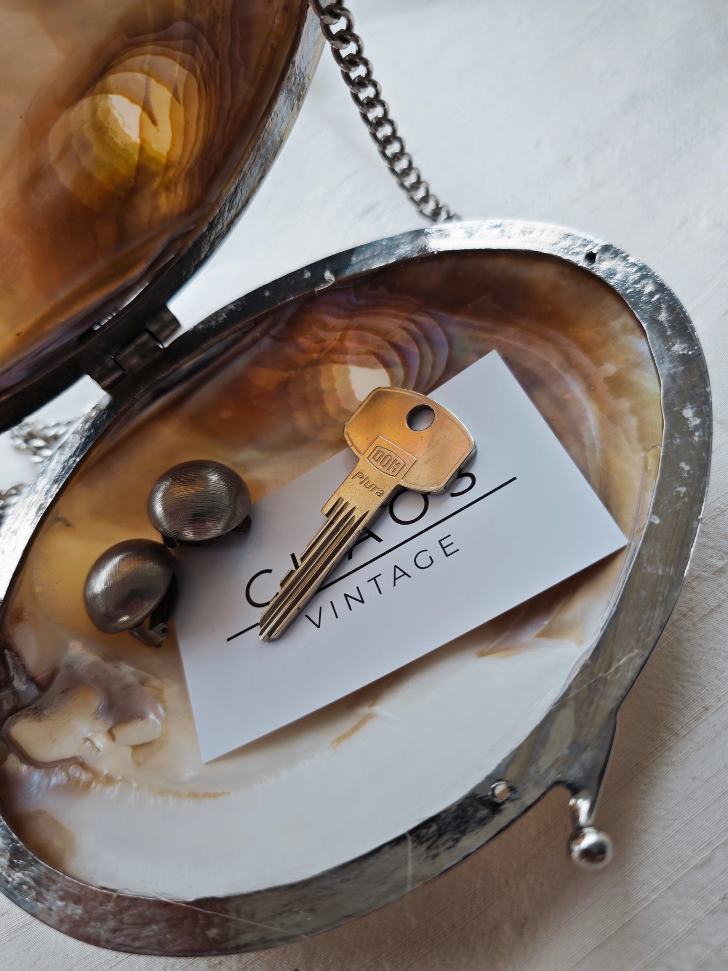Mother of pearl purse