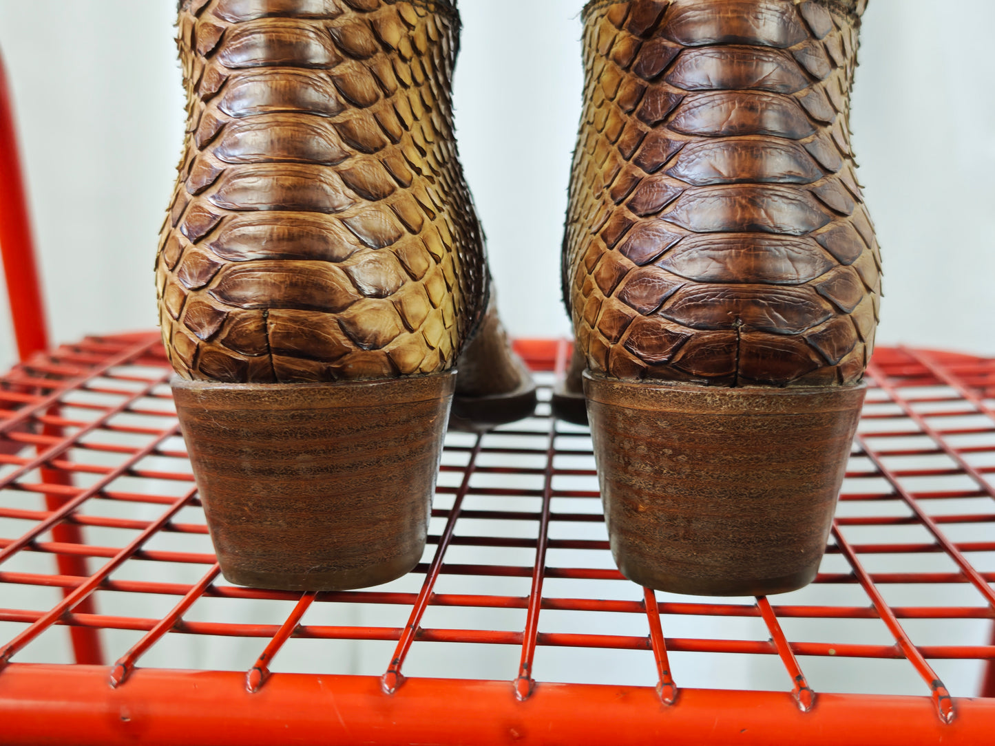 Prada python boots - 38