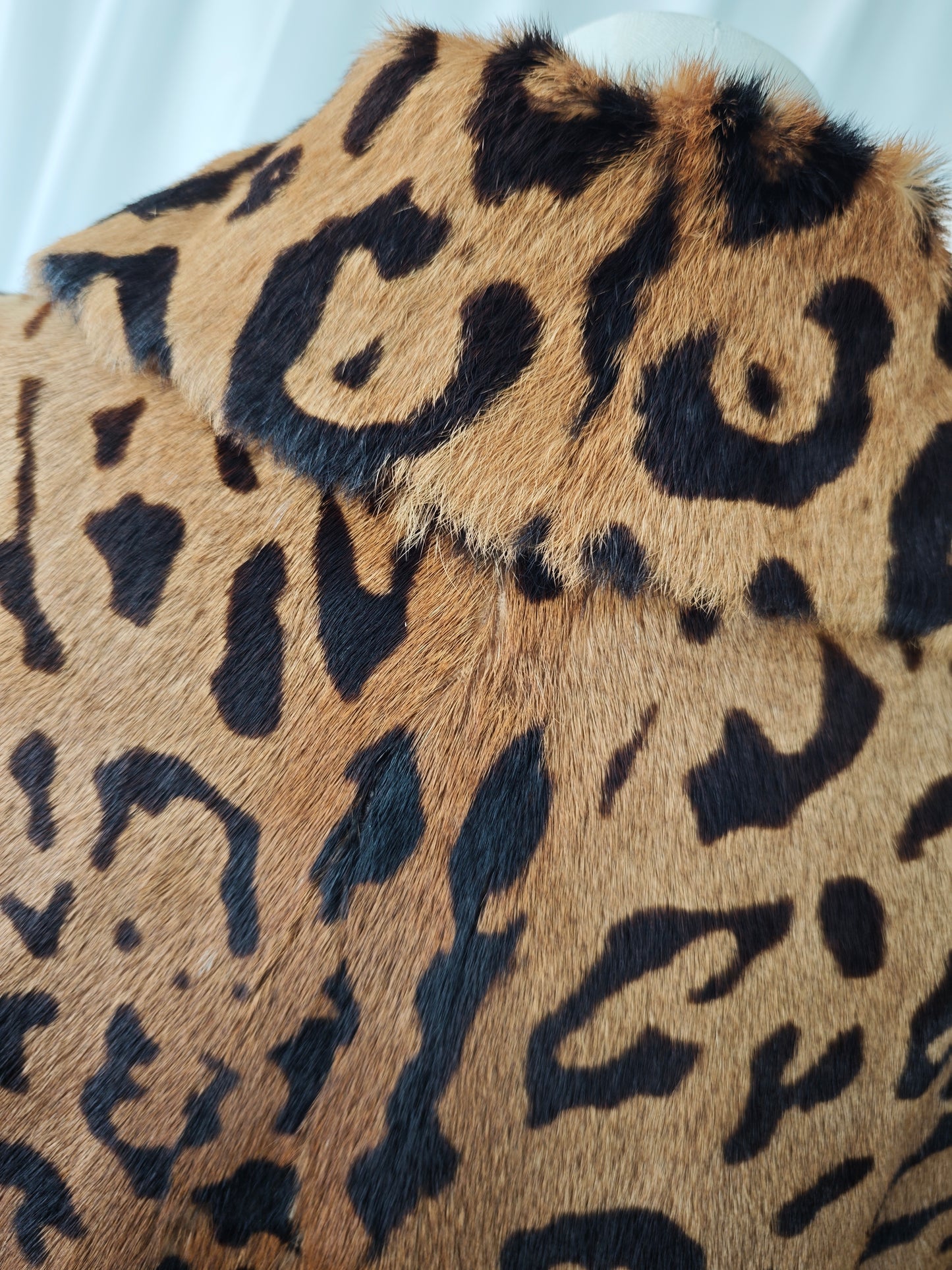 Hair on leopard coat