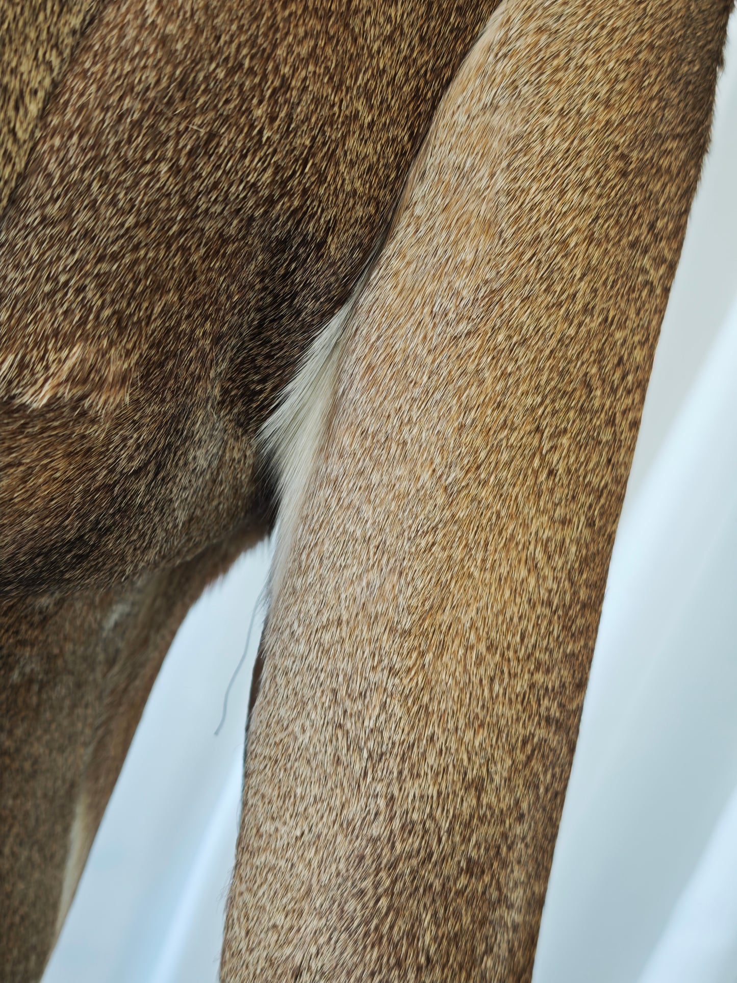 1970's deer fur jacket
